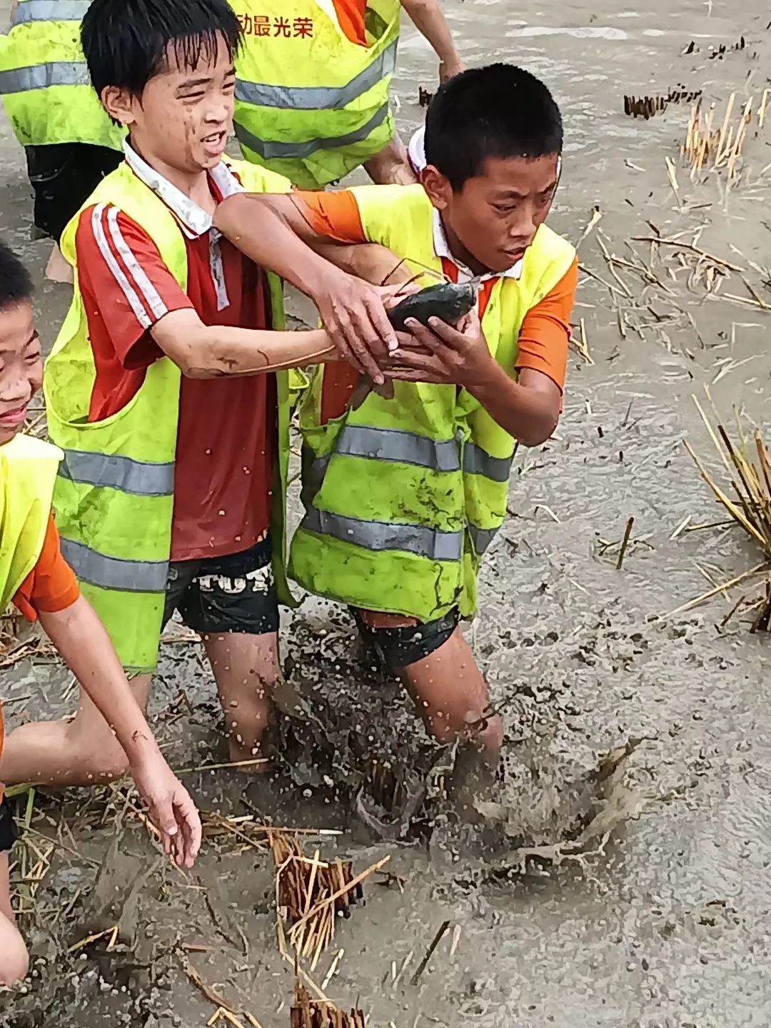 梦境深探，解析梦见抓鱼——从丰收到牺牲的寓言