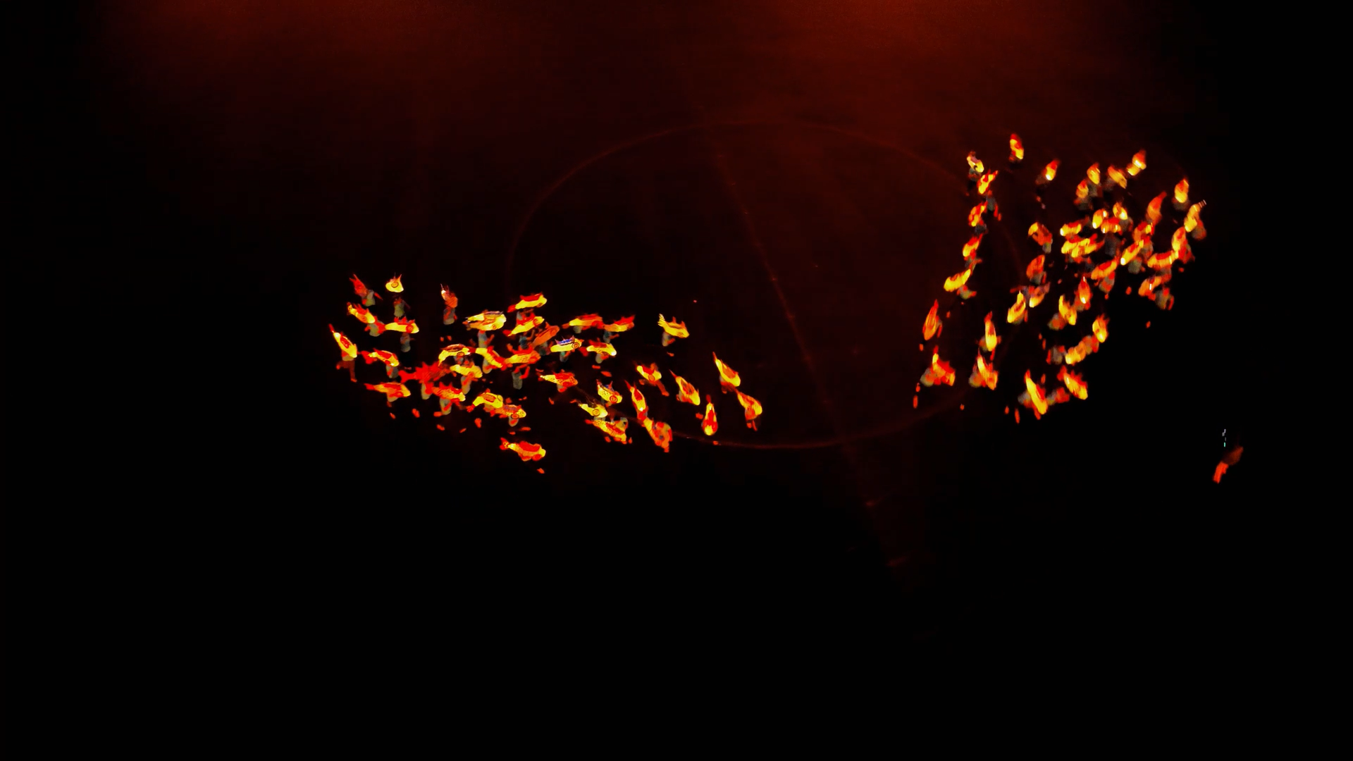 梦境奇遇，捕捉遗失的大鱼之梦