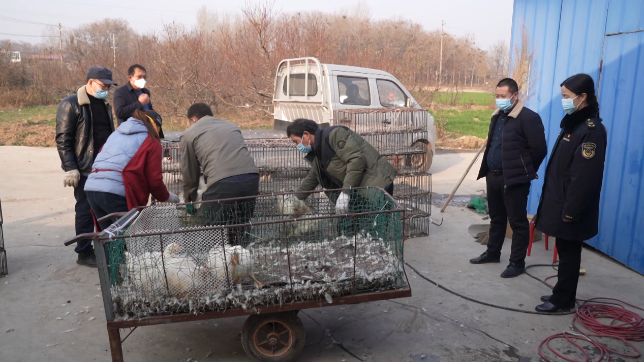 梦境中的温暖之手，解析梦到别人帮助自己的深层含义